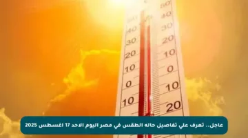 عاجل.. تعرف على تفاصيل حالة الطقس في مصر اليوم الأحد 17 أغسطس 2025